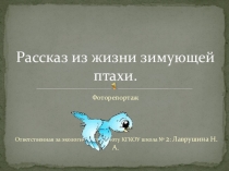 Экологическая презентация Рассказ из жизни зимующей птахи