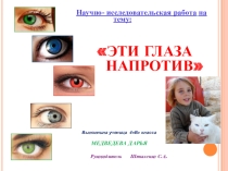 Презентация к исследовательской работе Эти глаза напротив