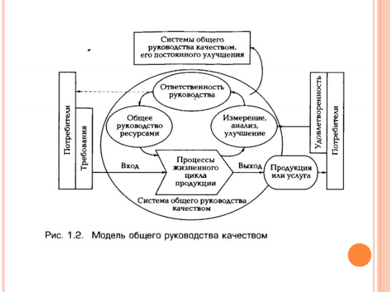 Схемы и системы сертификации в туризме