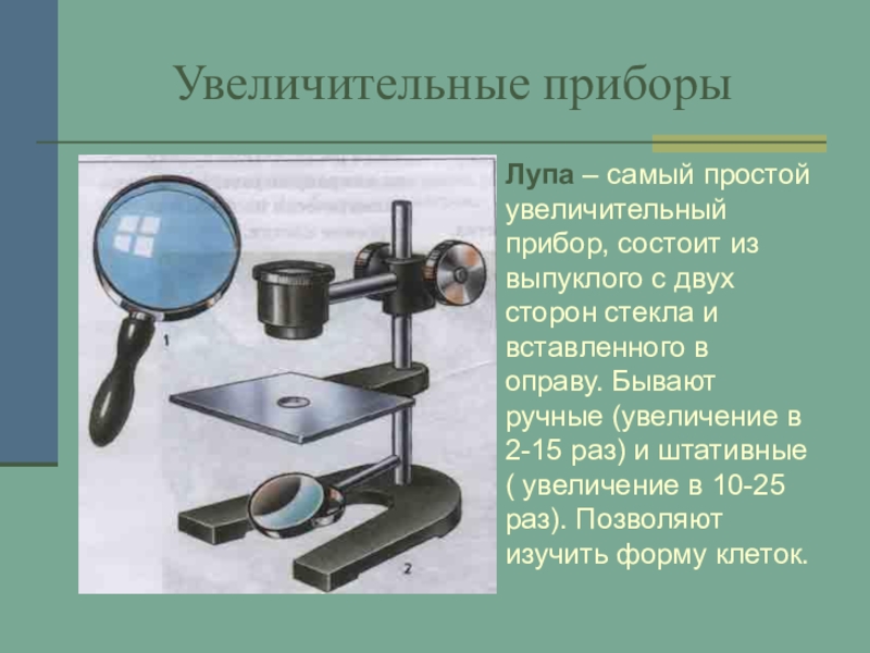 Презентация по теме лупа