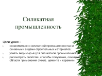 Презентация Силикатная промышленность (9 класс)