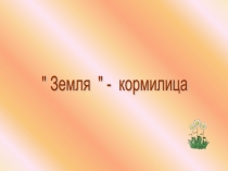 Презентация к уроку окружающего мира