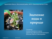 Презентация по природоведению на тему Роль воды в жизни растений, животных и человека