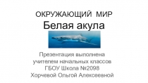 Презентация по окружающему миру на тему Белая акула (2 класс)