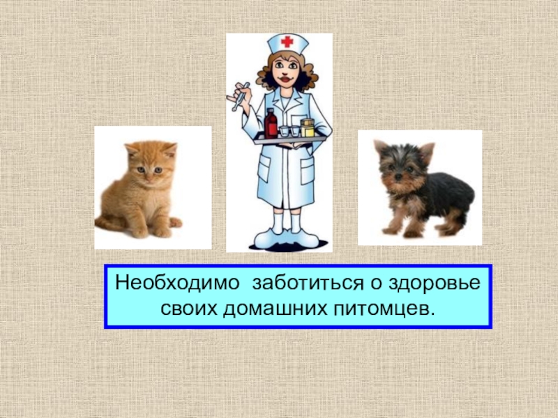 Обязан заботиться о здоровье. Уход за собакой презентация.