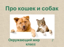 Презентация Про кошек и собак
