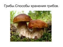Презентация Грибы в 7 классе.