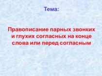 Презентация по русскому языку на тему: Правописание парных звонких и глухих согласных на конце слова или перед согласным