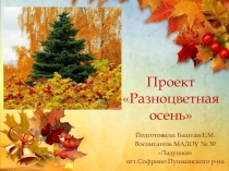 Презентация проекта Разноцветная осень в средней группе детскогосада
