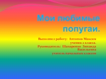Презентация Мои любимые попугаи