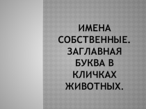 Презентация и план урока по русскому языку Имена собственные. Заглавная буква в кличках животных по программе школа России 2 класс