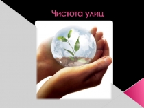 Проект на тему Чистота улиц
