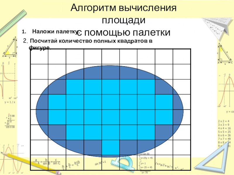 На фигуру наложена палетка сделай оценку. Алгоритм вычисления площади с помощью палетки. Палетка для вычисления площадей. Фигуры для палетки. Палетка для измерения площади.