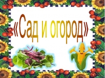 Презентация к уроку по развитию речи на тему Сад и огород (подготовительный класс)
