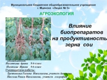 Презентация к исследовательской работе Влияние биопрепаратов на продуктивность сои