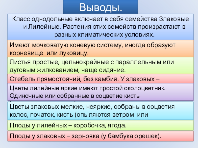 Семейства однодольных растений презентация 6 класс