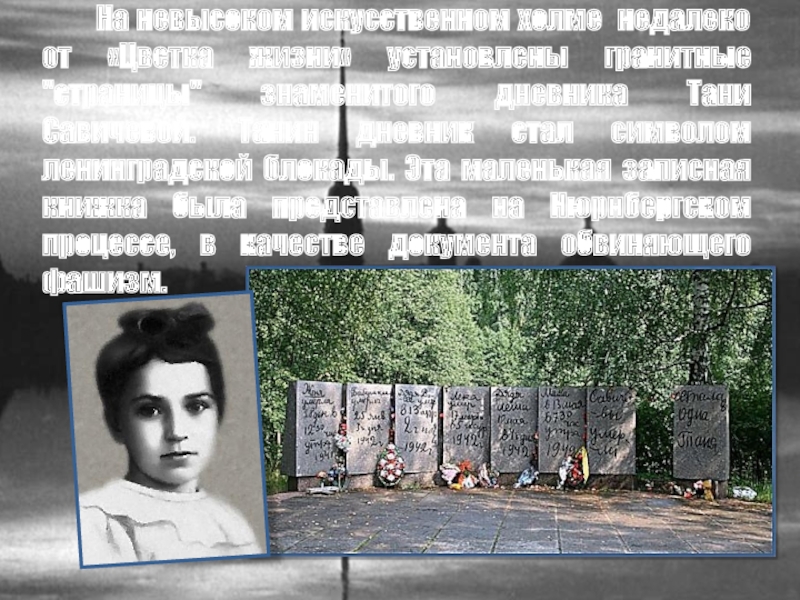 Презентация Ты выстоял Великий Ленинград (часть 4) На невысоком искусственном холме недалеко от «Цветка жизни» установлены На невысоком искусственном холме недалеко от «Цветка жизни» установлены гранитные