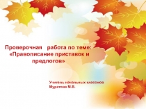 Проверочная работа по теме: Правописание приставок и предлогов