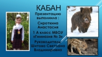 Презентация по окружающему миру 1 класс Кабан