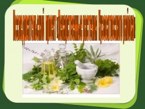 Исследовательский проект Лекарственные растения Кузоватовского района