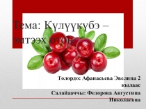 Презентация Кулуукубэ - эмтээх отон