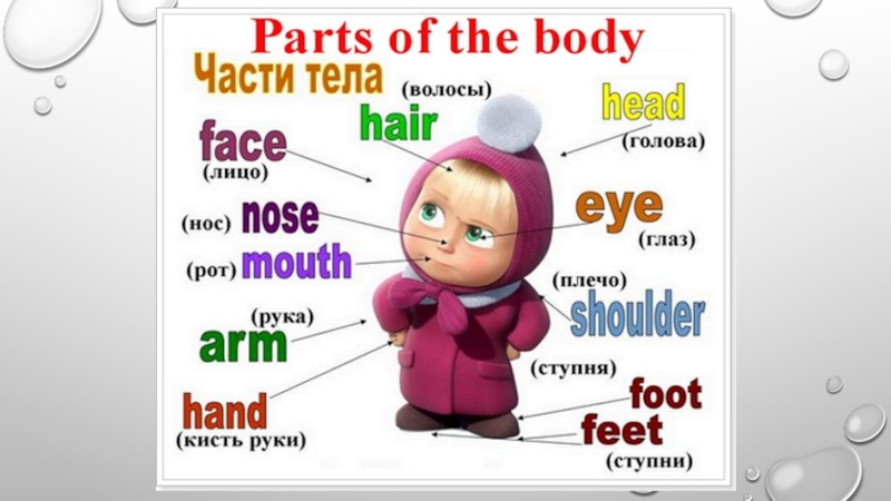 Parts of body презентация