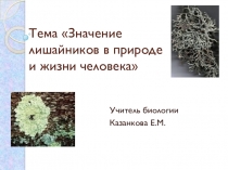 Презентация по биологии Лишайники