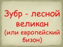Презентация к уроку окружающий мир по теме Животные Красной книги. Зубр