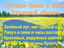 Презентация по окружающему миру на тему Луга Кировской области