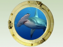 Презентация к конспекту НОД в подготовительной группе Путешествие в подводный мир