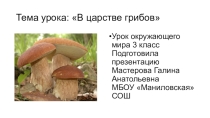 Презентация по окружающему миру на тему В царстве грибов 3 класс