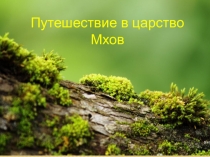 Презентация по биологии Мхи