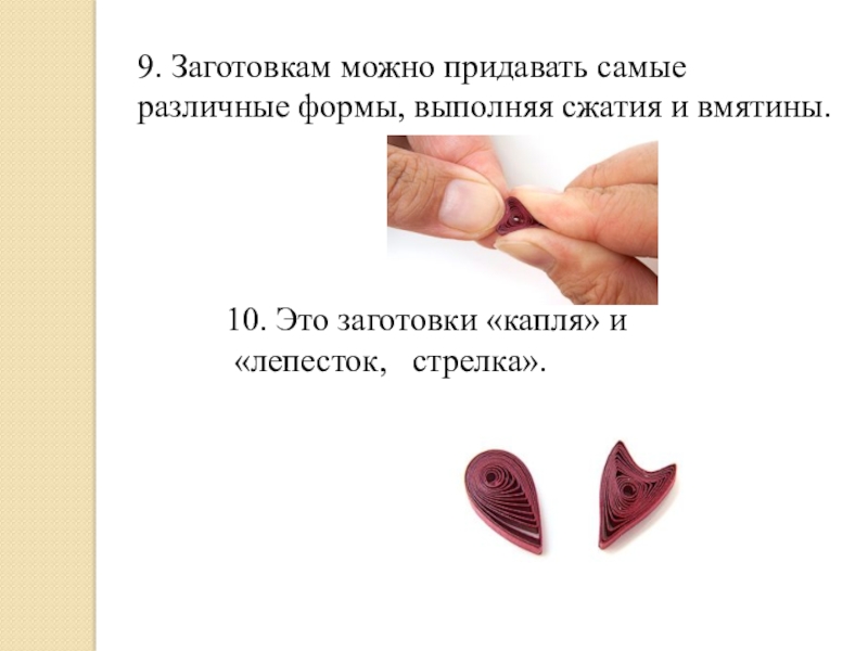 смочь придавать. каркасы для стрижки кустарников. туя брабант подстрижка. придавали. самшит стрижка формы.