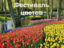 Презентация по предмету Человек и мир  Цветы