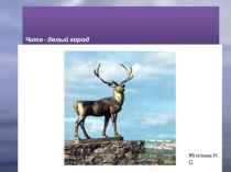 Презентация по спецкурсу Забайкаловедение, 4 класс Наша малая Родина