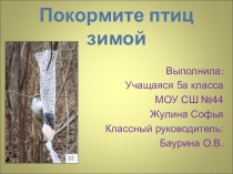 Презентация Покормите птиц зимой