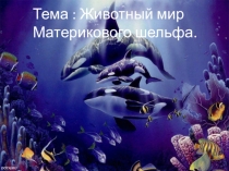 Презентация по биогеографии на тему :  Животный мир Материкового шельфа