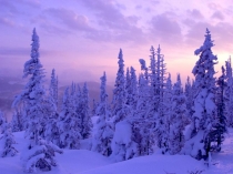 Презентация к уроку математики В гости к зиме