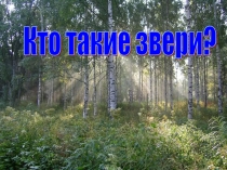 Презентация к уроку: Кто такие звери