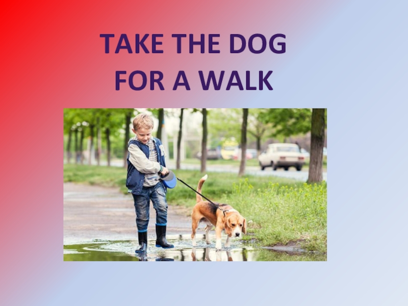 You can take a walk. Take for a walk. Taking a Dog for a walk. To take the Dog for a walk. Walk the Dog Flashcard.