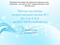 Рабочая программа 2 младшая группа