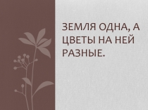 Презентация по ИЗО на тему Земля одна, а цветы на ней разные