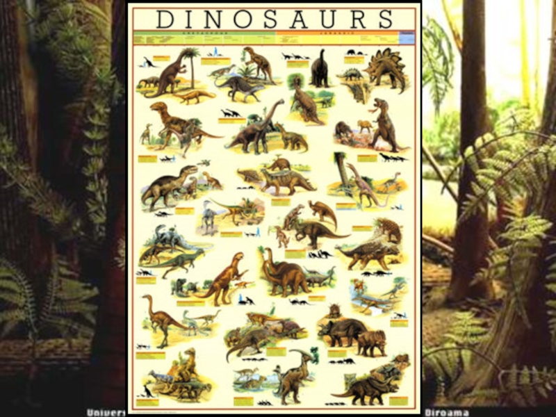 Когда жили динозавры 1 класс рабочий лист. Динозавры 1 класс. Где жили динозавры. Динозавры 1 класс окружающий мир. Проект про динозавров 1 класс.