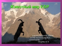 Презентация к уроку биология. редкие животные КБР