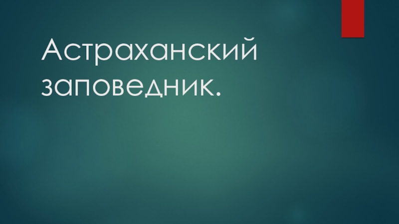 Презентация по географии на тему Астраханский заповедник 8 класс