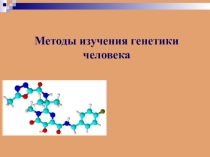 Презентация по биологии на тему: Генетика человека (10 класс)