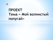 Презентация проекта учащегося Мой волнистый попугай
