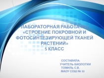 Презентация по биологии к лабораторной работе Строение покровной и фотосинтезирующей тканей растений 5 класс, УМК Сфера