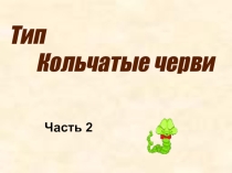Презентация к уроку кольчатые черви часть 2