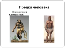 Презентация по химии к уроку по теме Система. Часть Доля